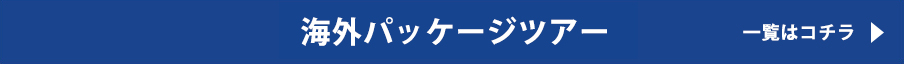 海外パッケージツアー